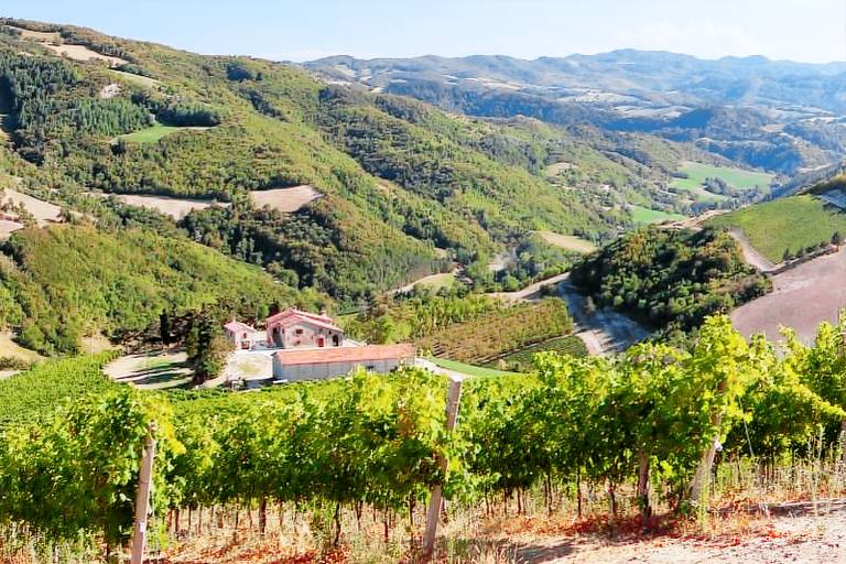 Agriturismo Tredozio