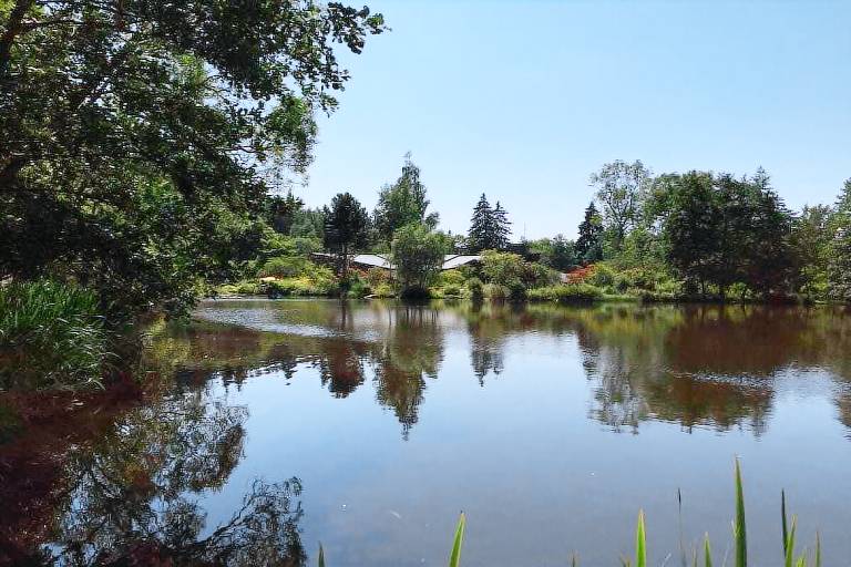 House with garden — photo 2