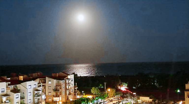 Wonderful rental apartment with pool | Close to the beach | Pets are welcome — photo 4