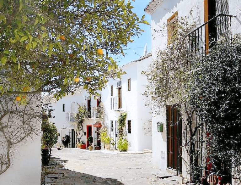 House  Marbella