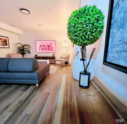 Appartement Ceinture de verdure