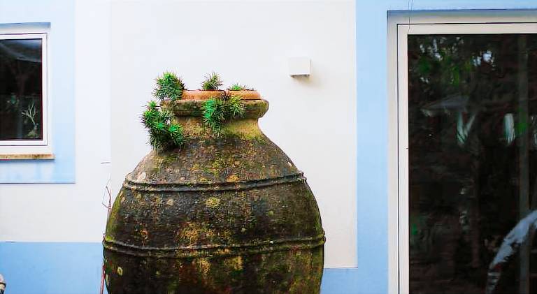 Wonderful apartment with pool | Pet-friendly in Leiria