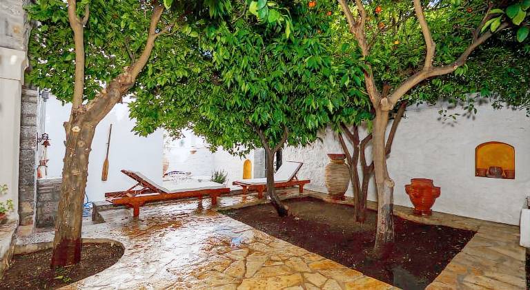 LIVIN Hydra Garden Suite — photo 2