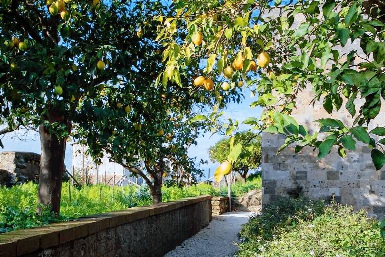Casa Piano di Sorrento