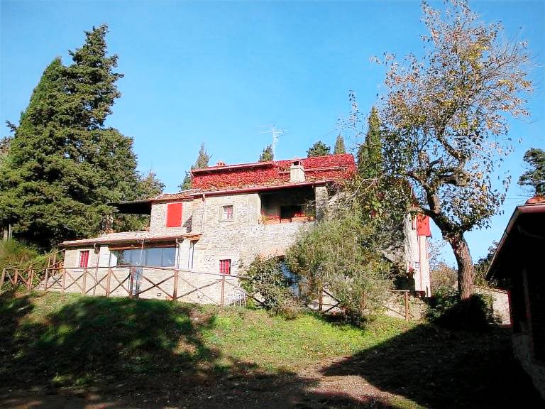 foto1