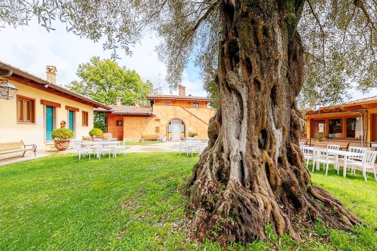 Poggio dei Cavalieri: QUADRUPLA — photo 2