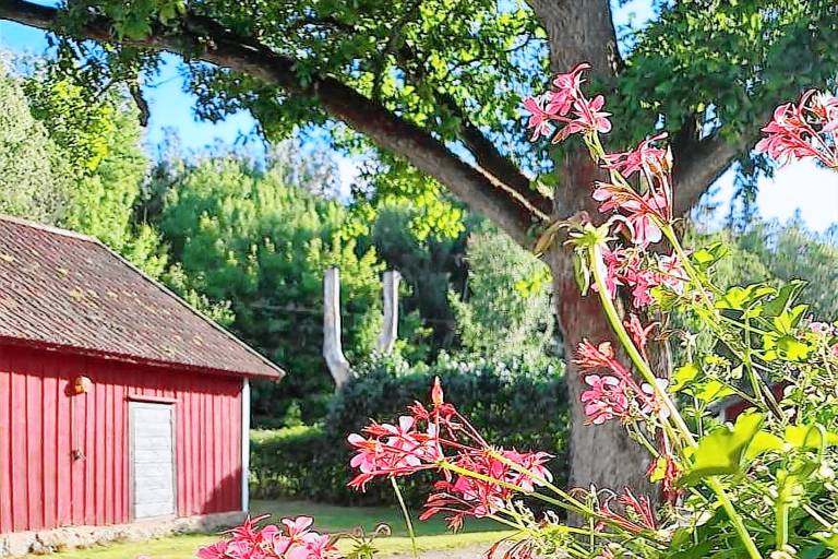 Fully equipped vacation home | Dogs allowed — photo 4