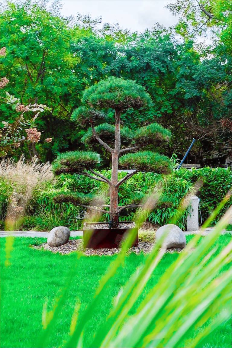 Rental apartment with heated pool, yard & terrace | Nature view | Close to the beach | Pet-friendly — photo 3