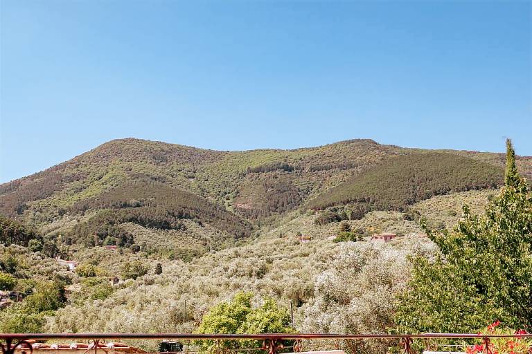 foto6