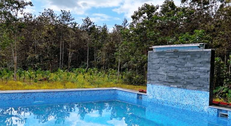 Immanamane Homestay — photo 2