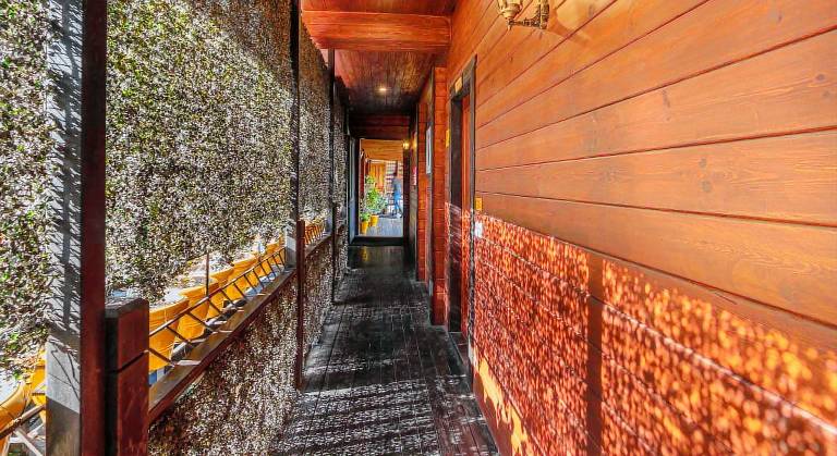 The Hosteller Kasar Devi — photo 5