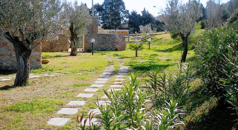 Farm with yard — photo 4