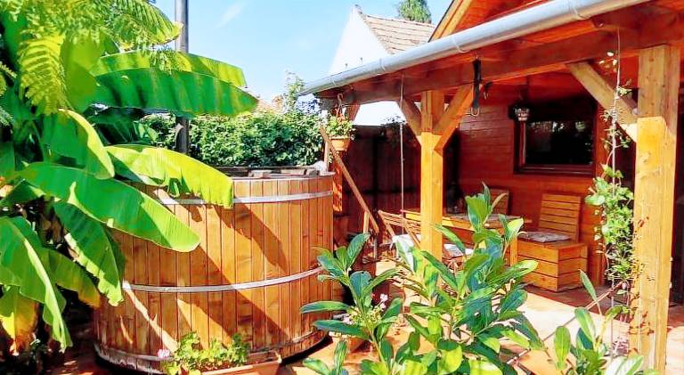 House with patio, grill & garden | Suitable for remote work | Pets allowed in Gyor
