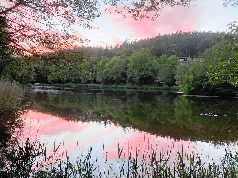Ferienwohnung Ronshausen