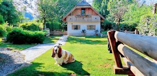 Apartma  Vrbnje