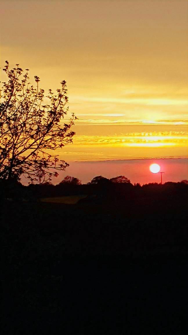 Ferienwohnung Rieseby