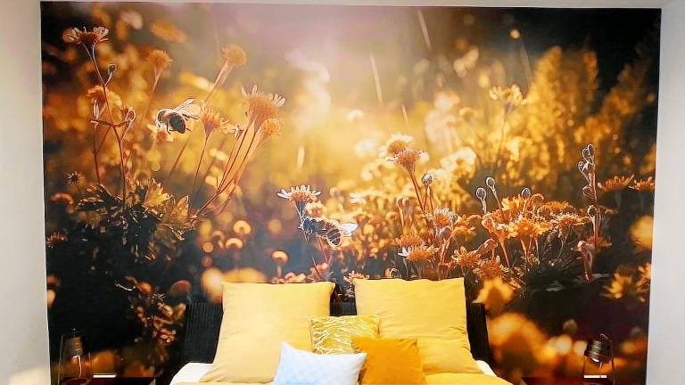 Ferienwohnung Edesheim