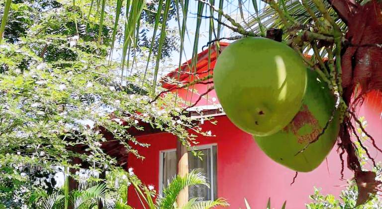 Vacation home with pool | Pets are welcome in Ilhéus