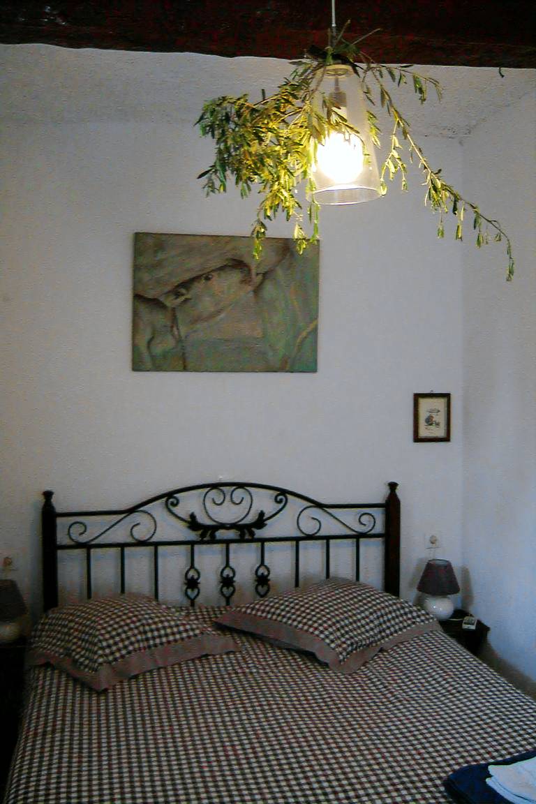 House with terrace, barbecue & yard — photo 5