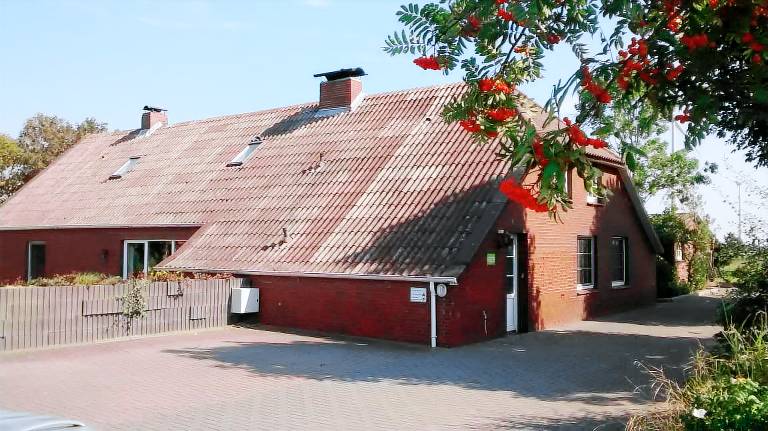 foto2