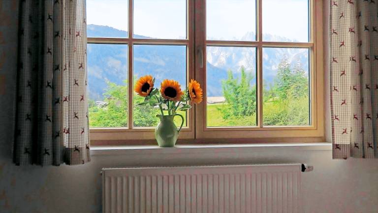 Ferienwohnung Gosau
