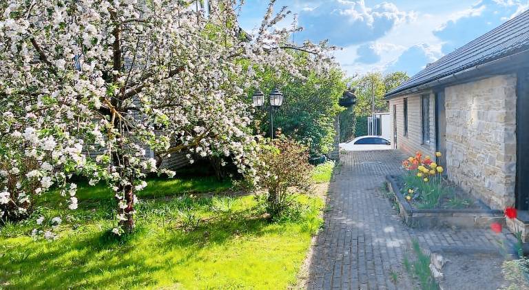 Rental apartment with yard & barbecue — photo 4
