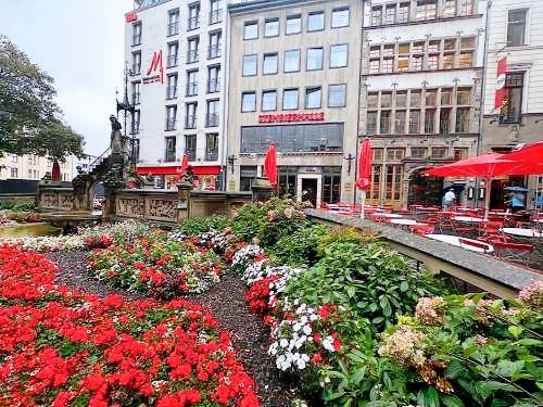 70 m² Ferienhaus