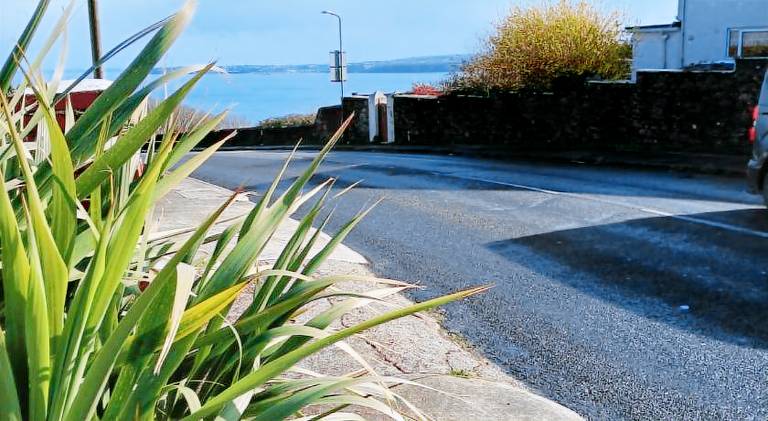 Wonderful house | Pets allowed in Torquay