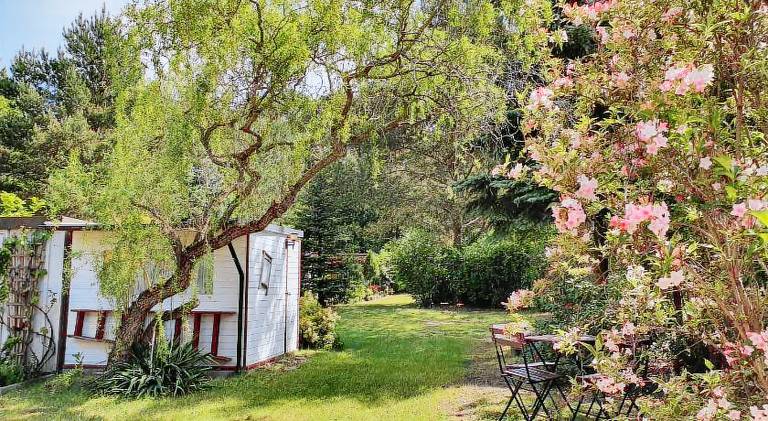 Wonderful vacation home | Pets are welcome — photo 3