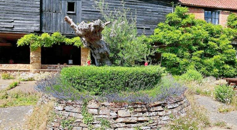 Beautiful vacation home | Good for workation | Pets allowed — photo 3