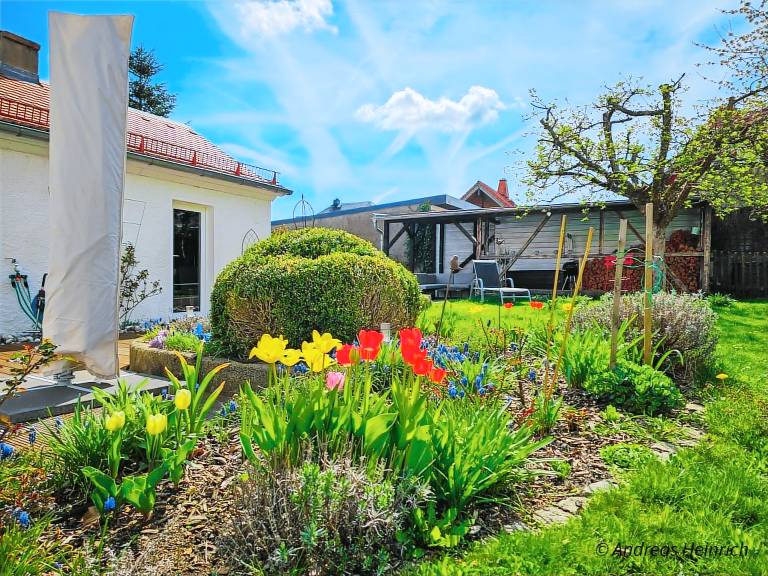 Hundefreundliches Ferienhaus mit eigenem Garten