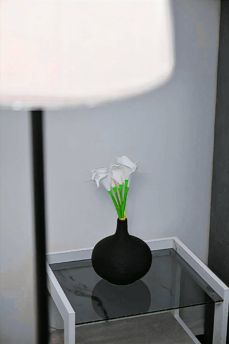 foto7