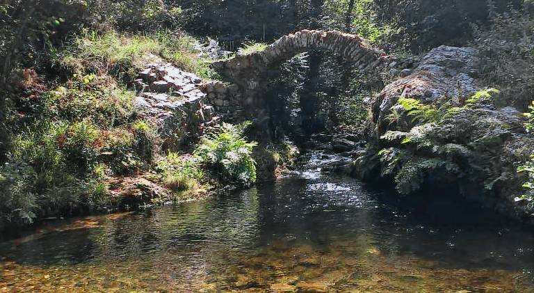 Pension San Jorge — photo 5