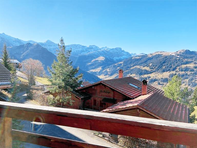 Appartement La Lenk