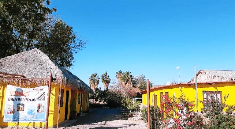 Loreto La Regional — photo 4