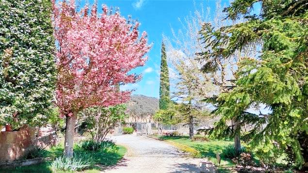 Cottage with pool, BBQ & patio | Nature view — photo 3