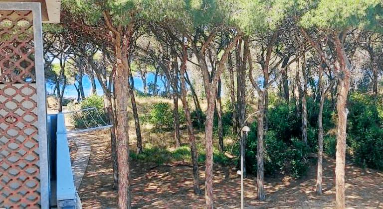 Appartamento Morelli Beach - Via delle Collacchie 53 in Follonica