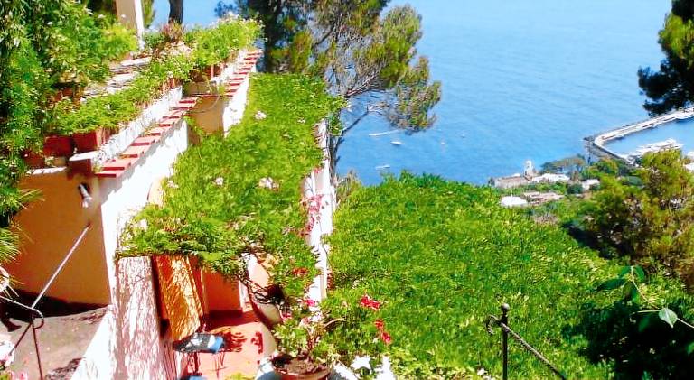 La Casa nel Bosco — photo 3