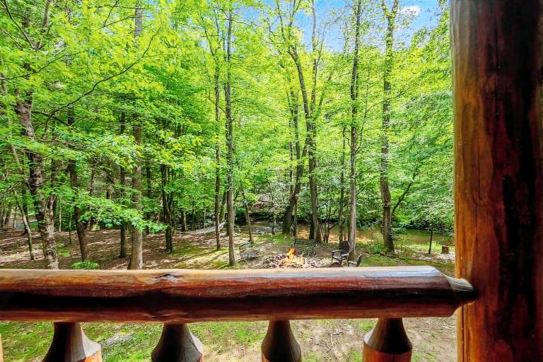 Cabin  Blue Ridge