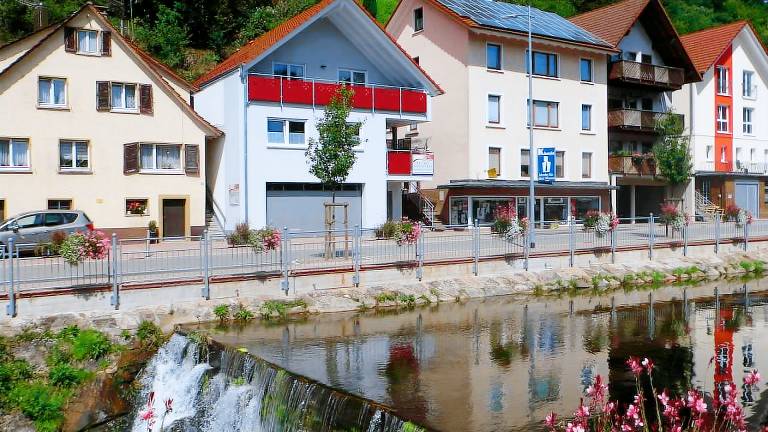 Ferienwohnung Oppenau