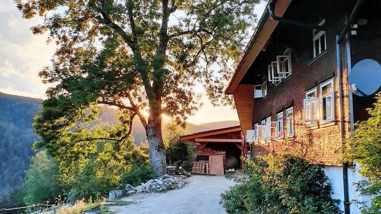 Ferienwohnung  Triberg