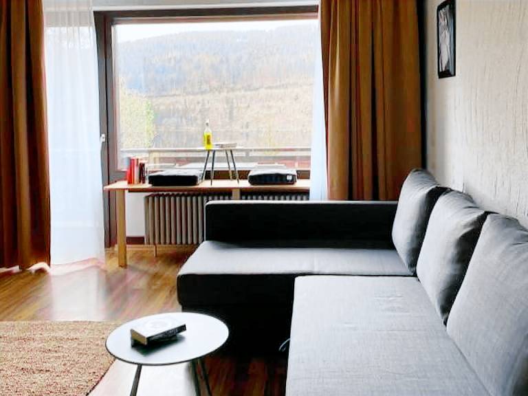 Appartement Titisee-Neustadt