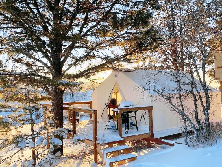 Camping  Woodmoor