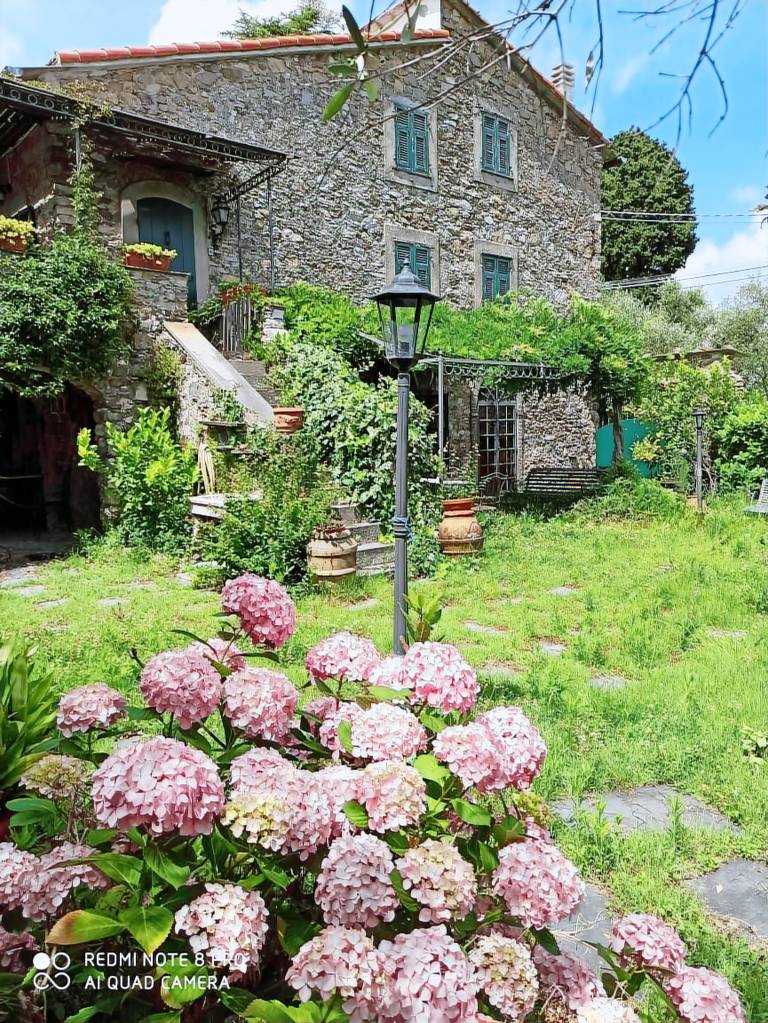 Cottage Bolano
