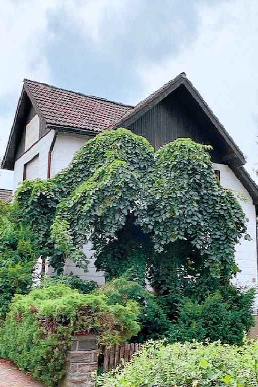 Ferienwohnung Olpe