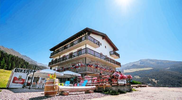 CHALET DES ALPES — photo 2