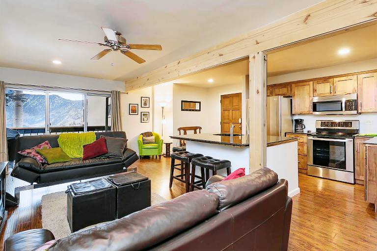 Completely Remodeled Ski in/Ski Out condo - Amazing Views and Great Deck in Durango, CO