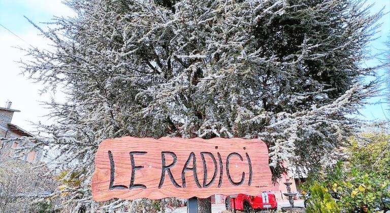 House with 3 rooms for 5 persons in Viterbo