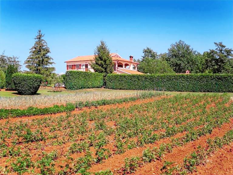 Fully equipped wonderful vacation home with terrace, garden & private pool | Nature view | Pets allowed — photo 5