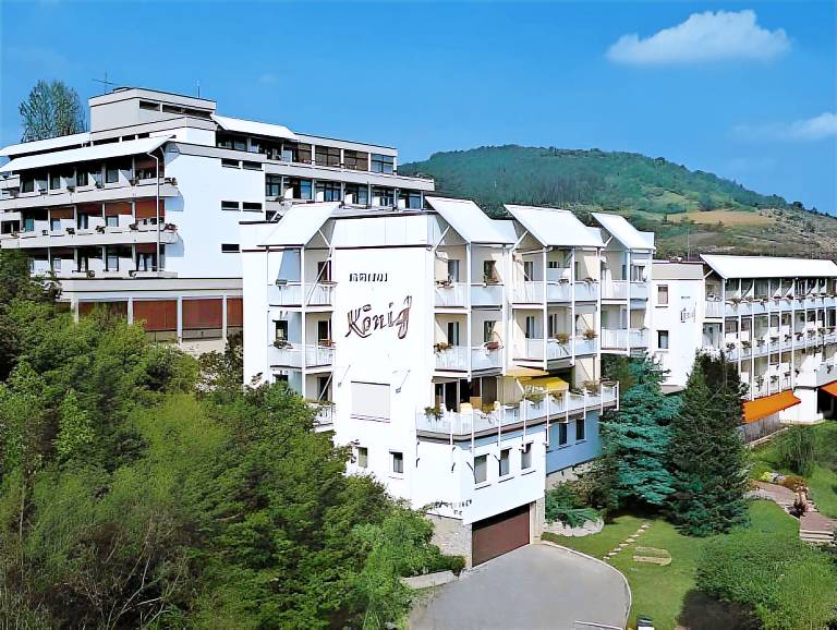 Vitalhotel Konig am Park in Bad Mergentheim